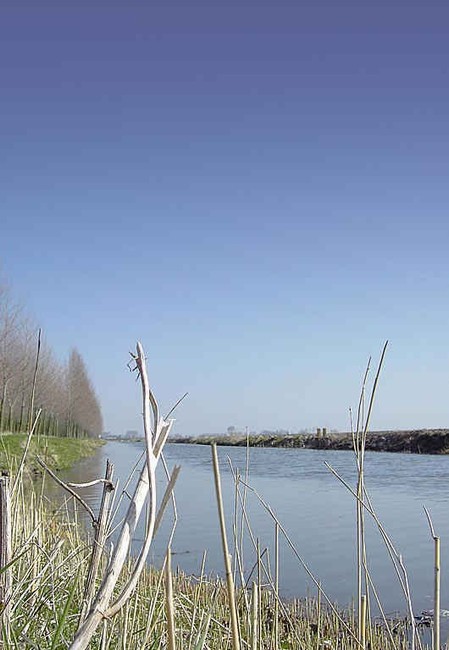 n_polder b 0753.jpg